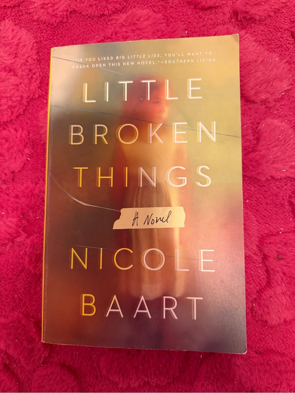 Little Broken Things by Nicole Baart - Softcover Novel